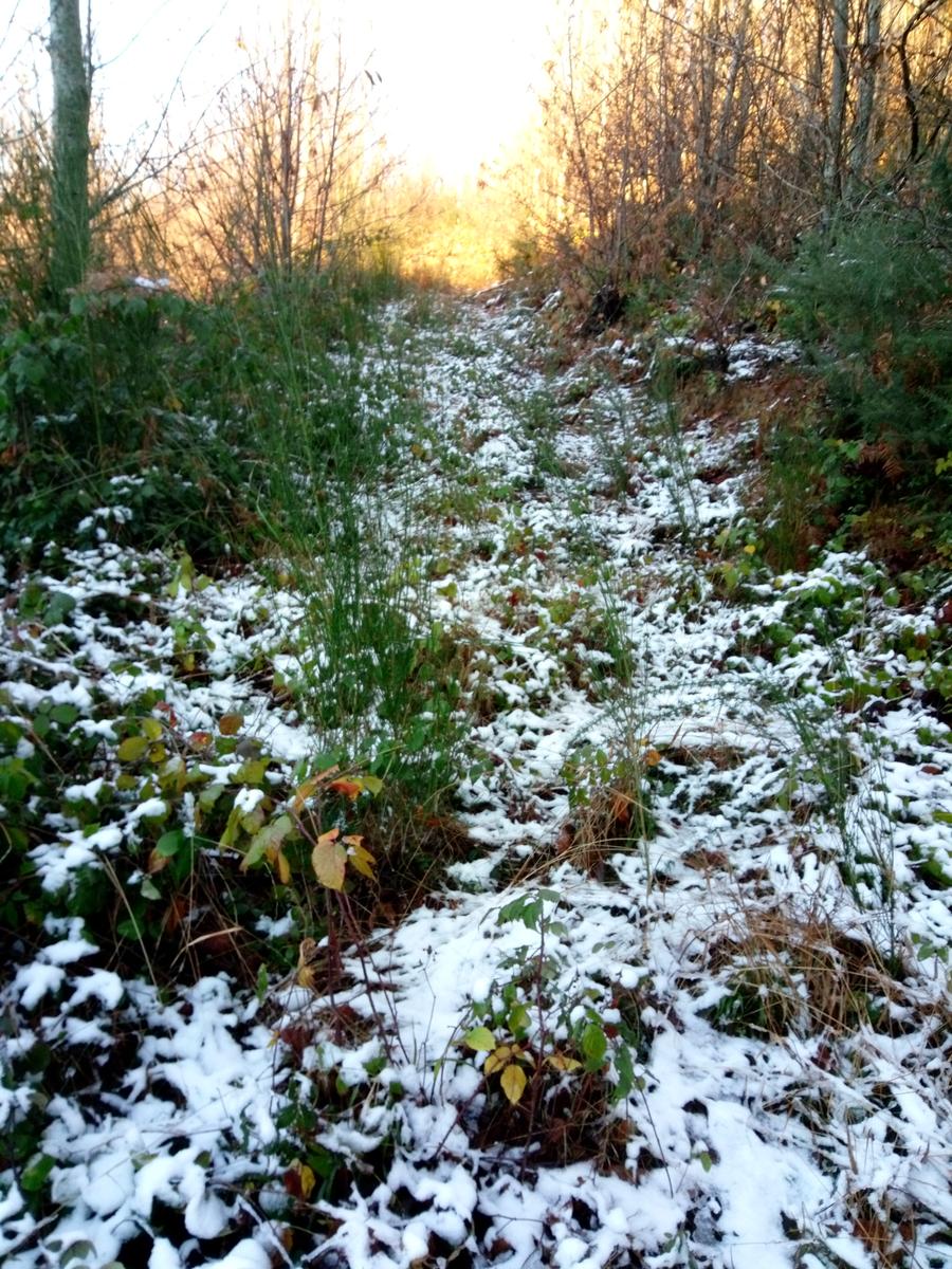 Vorno - Campo croce - Monte Faeta - Verruchino - Spuntone - Santallago - foto 16