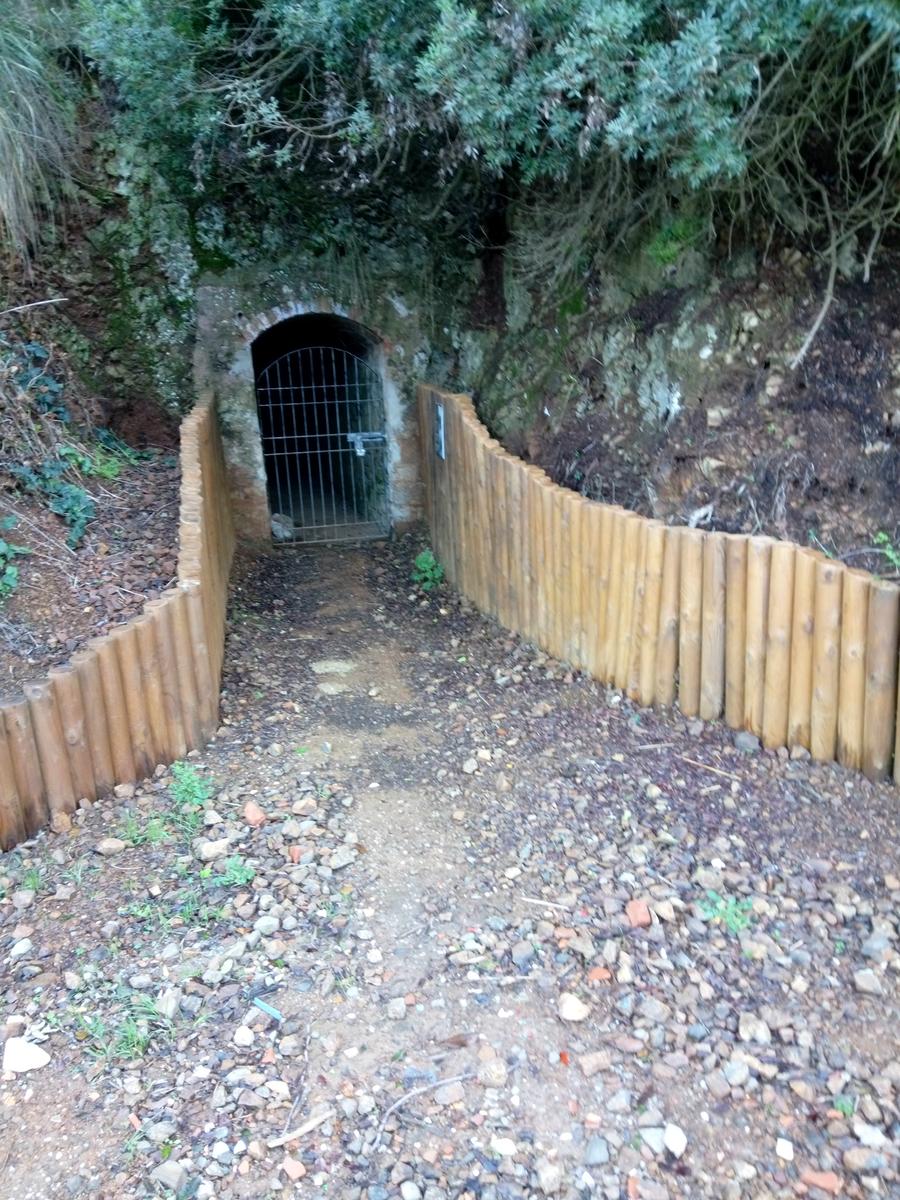 Salivoli - Punta Falcone - foto 2