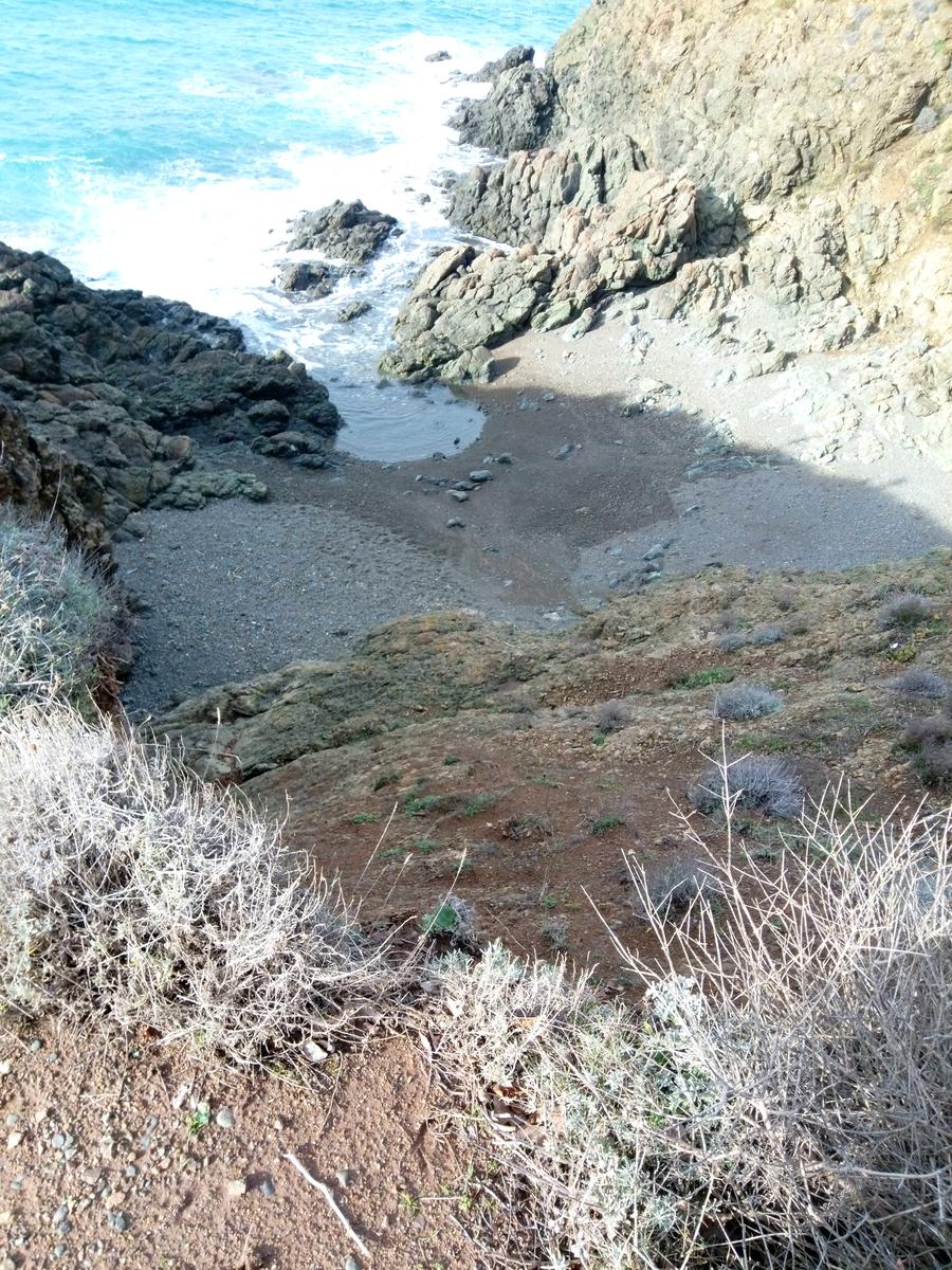 Salivoli - Punta Falcone - foto 5