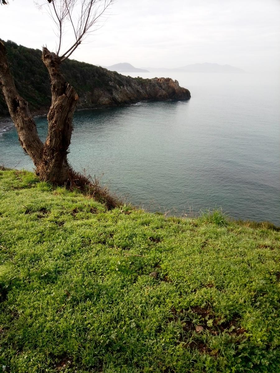 Salivoli - Populonia - Costiera - Anello - foto 3