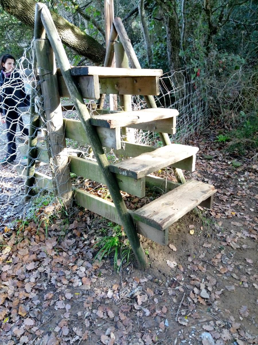 Salivoli - Populonia - Costiera - Anello - foto 7