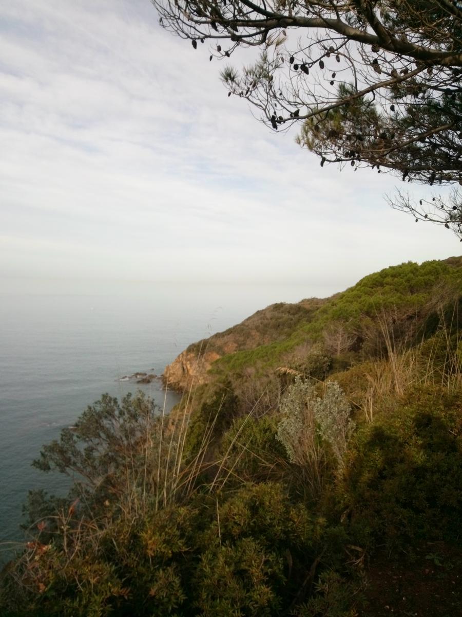 Salivoli - Populonia - Costiera - Anello - foto 10