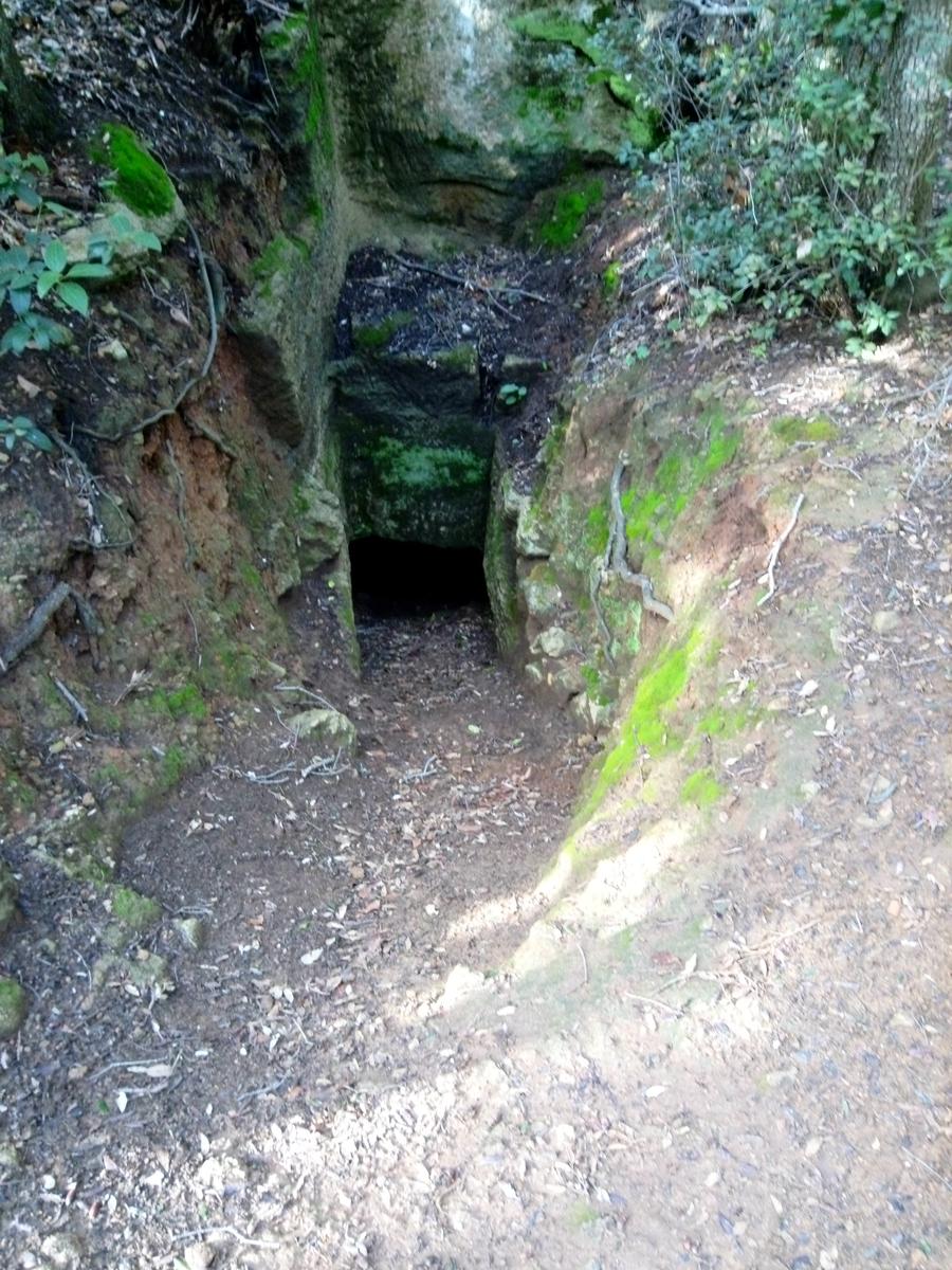 Salivoli - Populonia - Costiera - Anello - foto 13