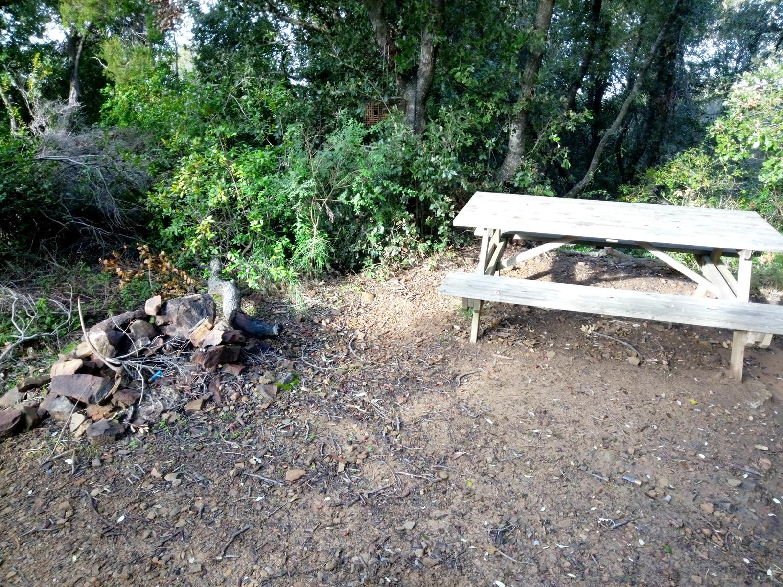 Salivoli - Populonia - Costiera - Anello - foto 17