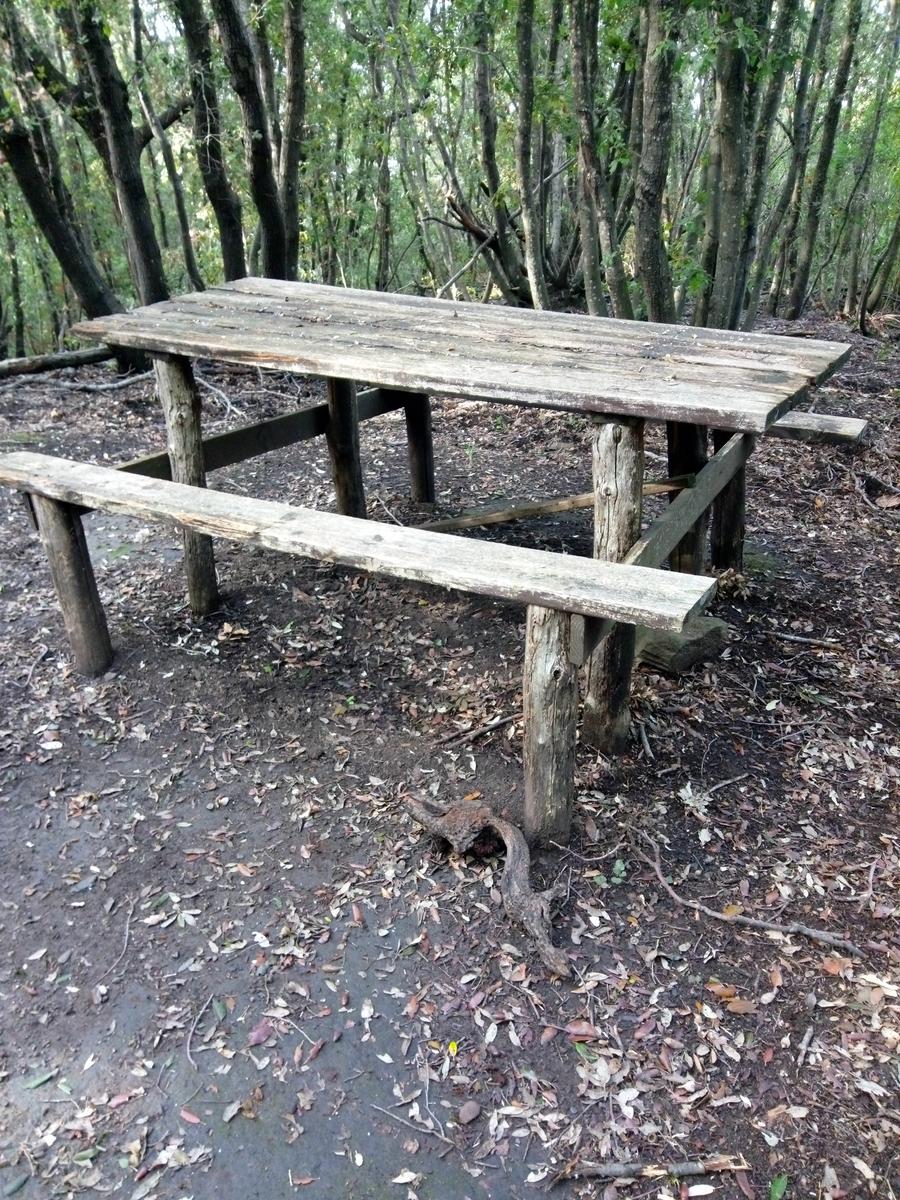 Salivoli - Populonia - Costiera - Anello - foto 18