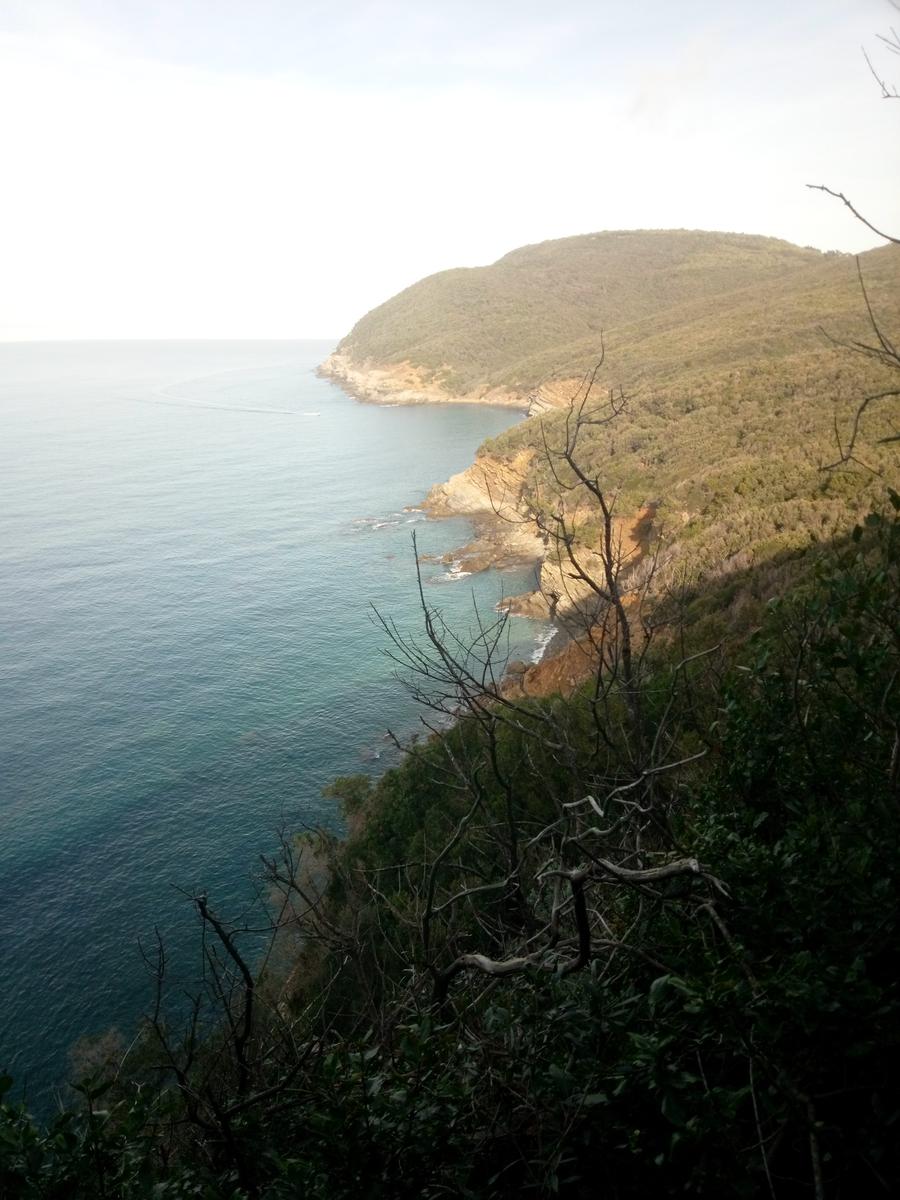 Salivoli - Populonia - Costiera - Anello