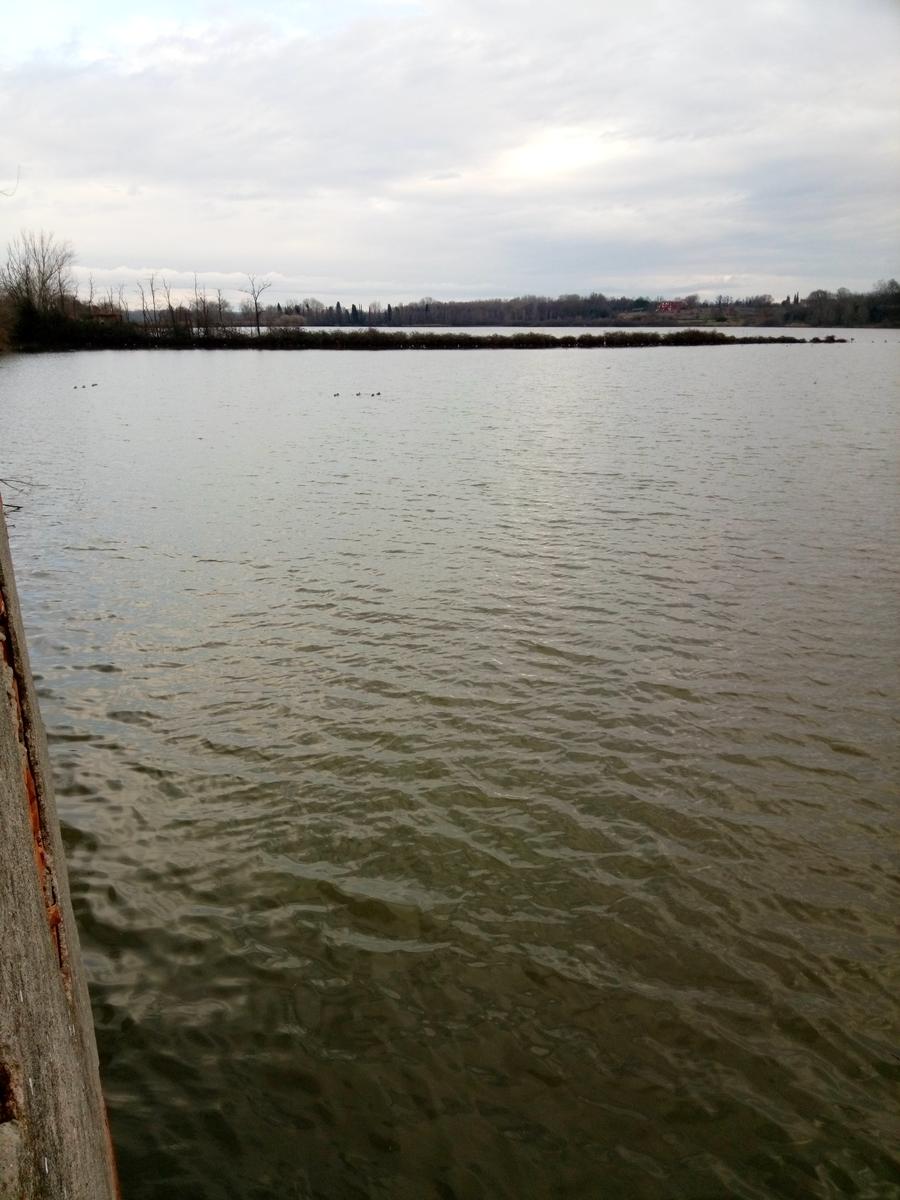 Lago della Gherardesca - foto 4
