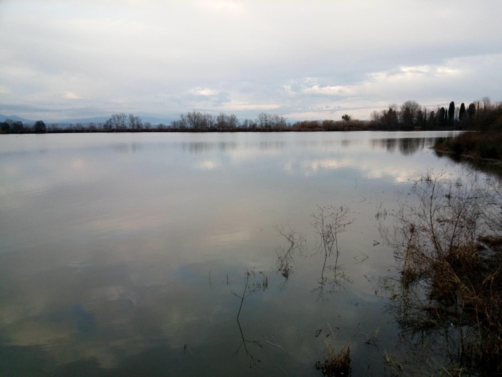 Lago della Gherardesca - foto 6