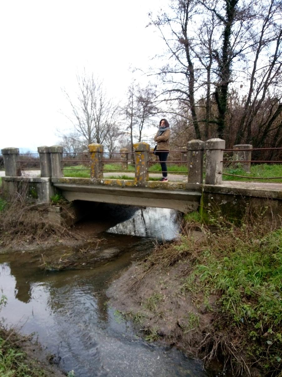 Lago della Gherardesca - foto 7