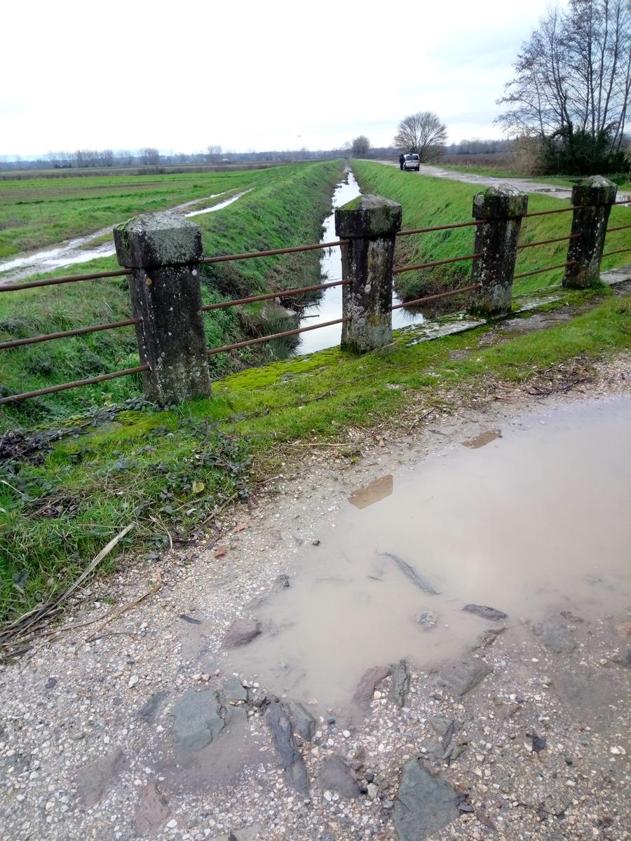 Lago della Gherardesca - foto 8