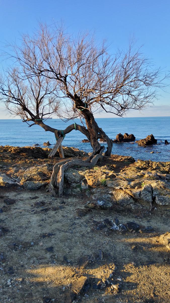 Passeggiata sul lungomare - Ardenza - Livorno