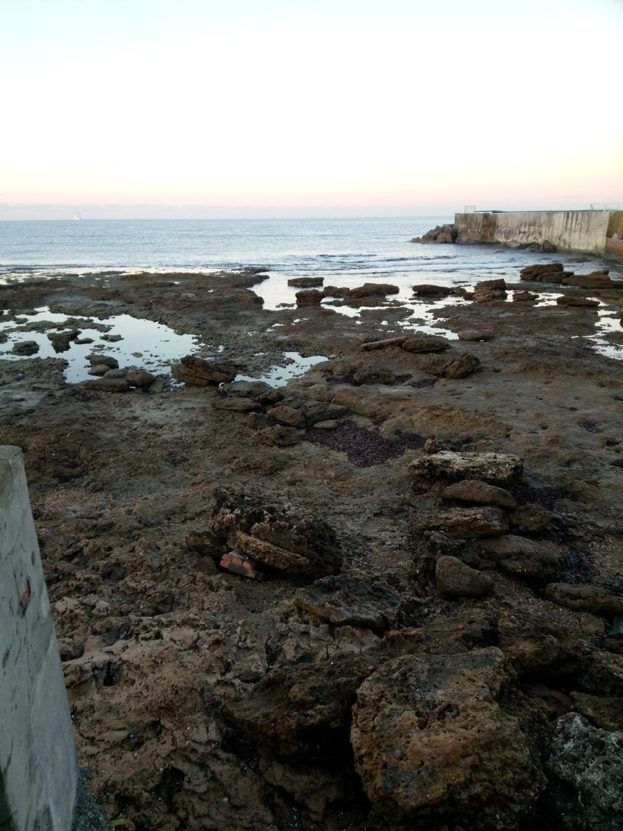 Passeggiata sul lungomare - Ardenza - Livorno - foto 14