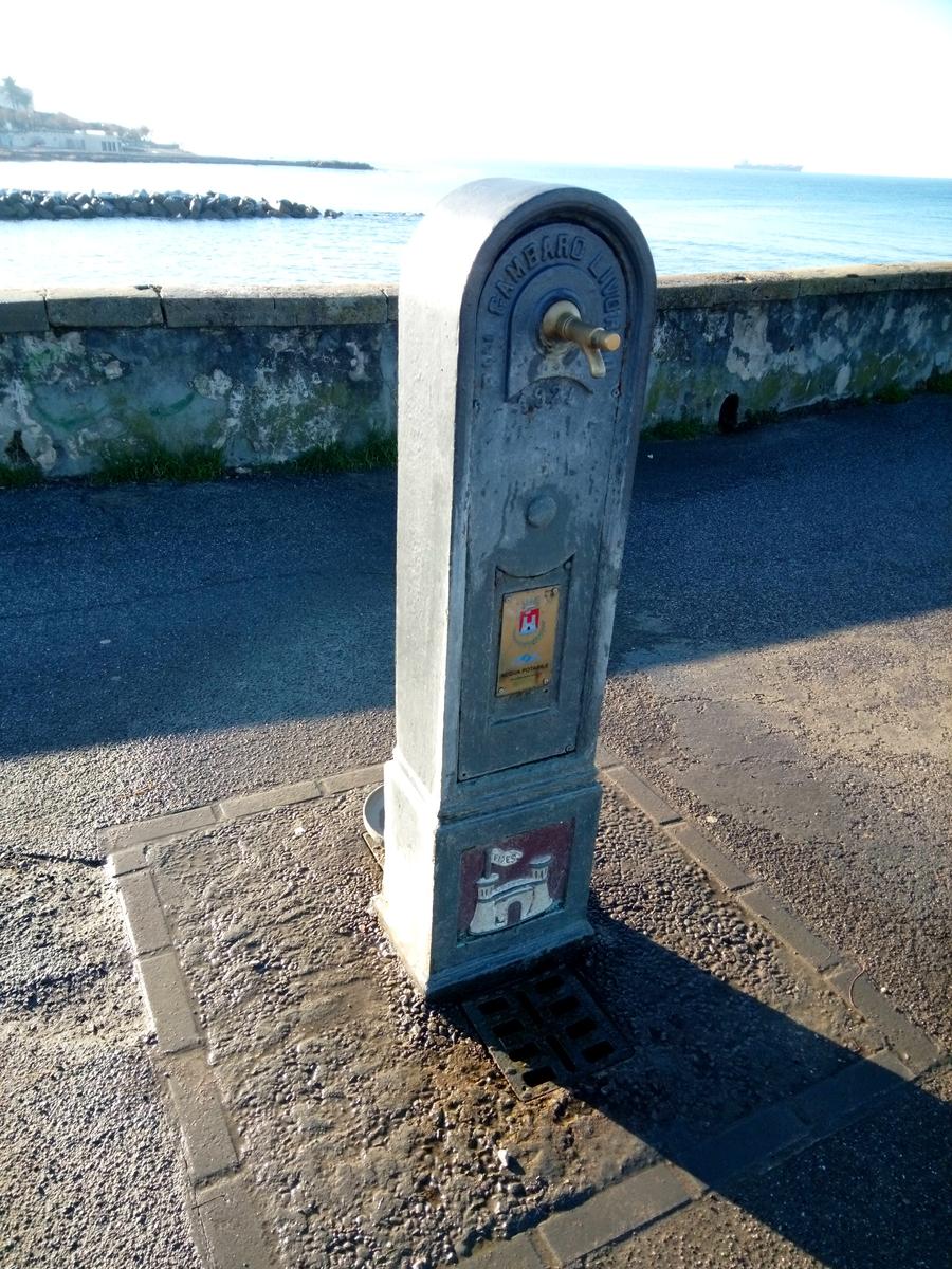 Passeggiata sul lungomare - Ardenza - Livorno - foto 19