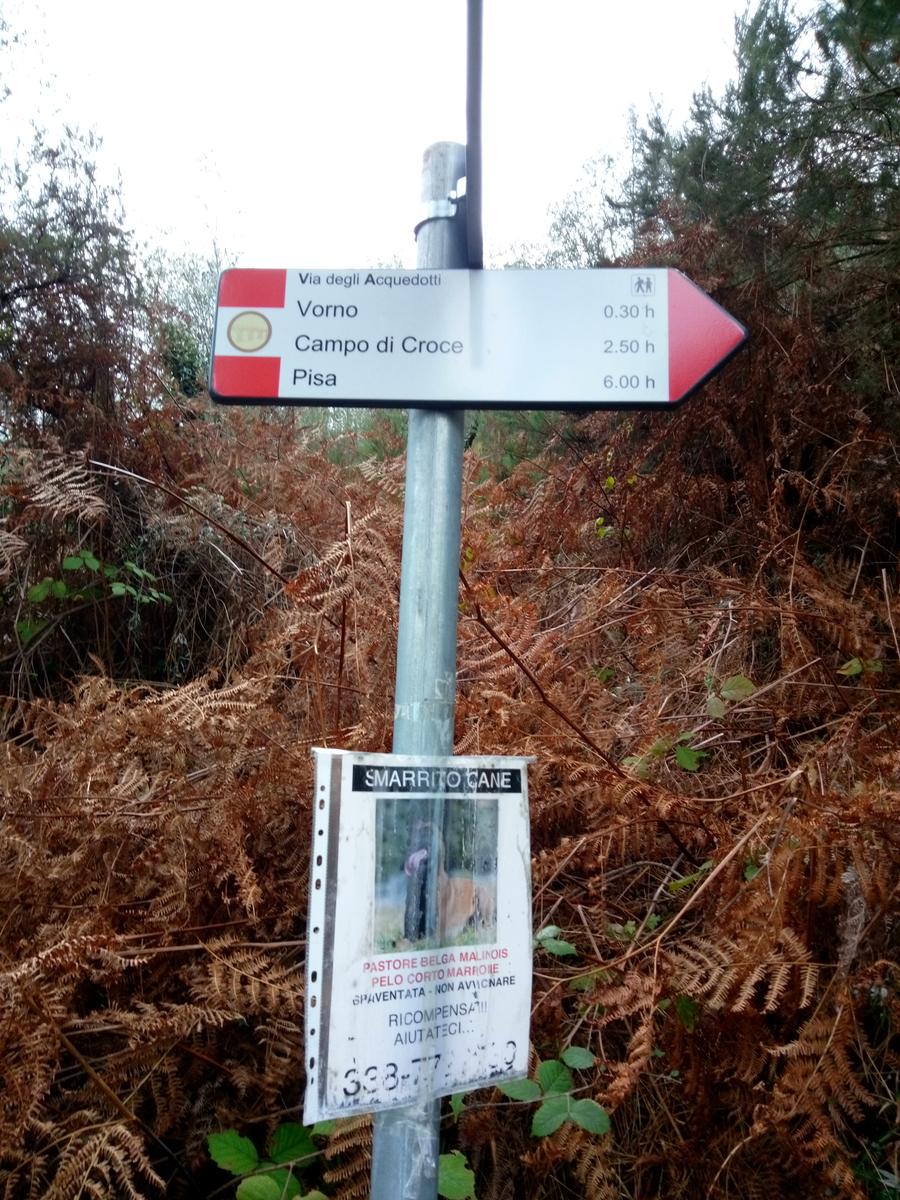 Dalle Parole d'oro al Monte Zano - foto 3