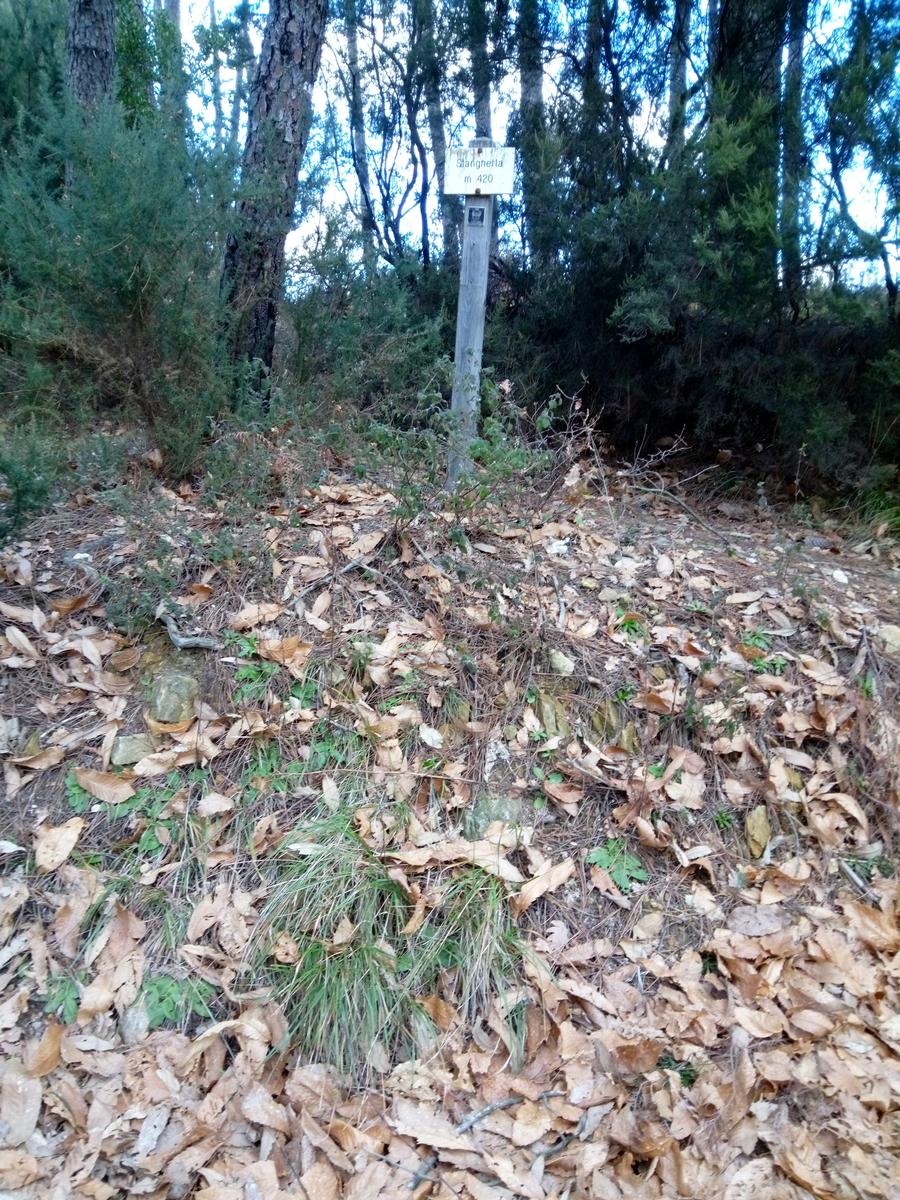 Dalle Parole d'oro al Monte Zano - foto 4