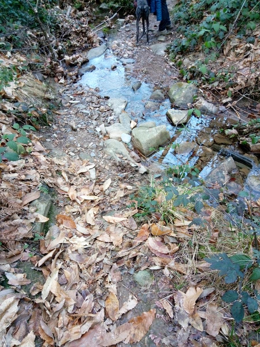 Dalle Parole d'oro al Monte Zano - foto 5