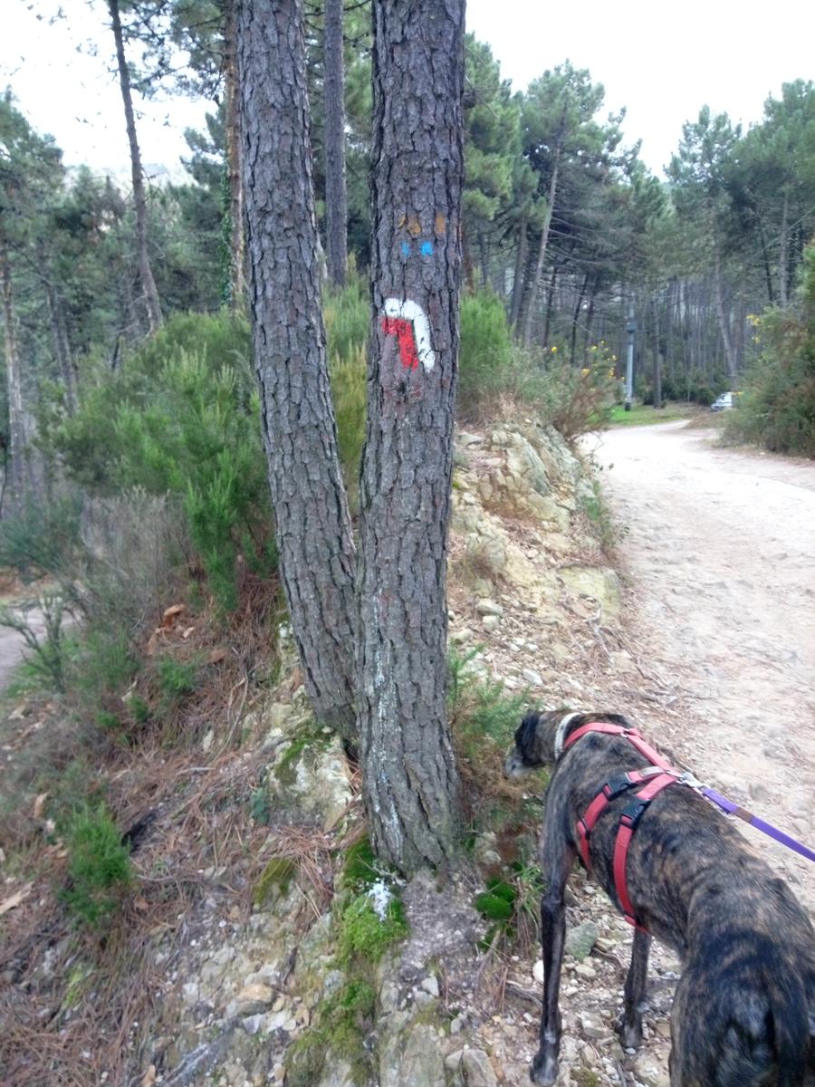Dalle Parole d'oro al Monte Zano - foto 8