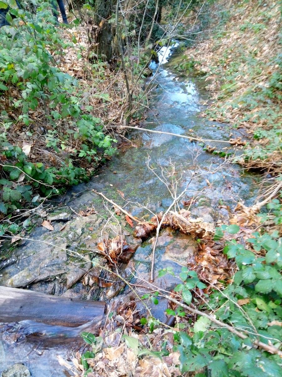 Dalle Parole d'oro al Monte Zano - foto 10