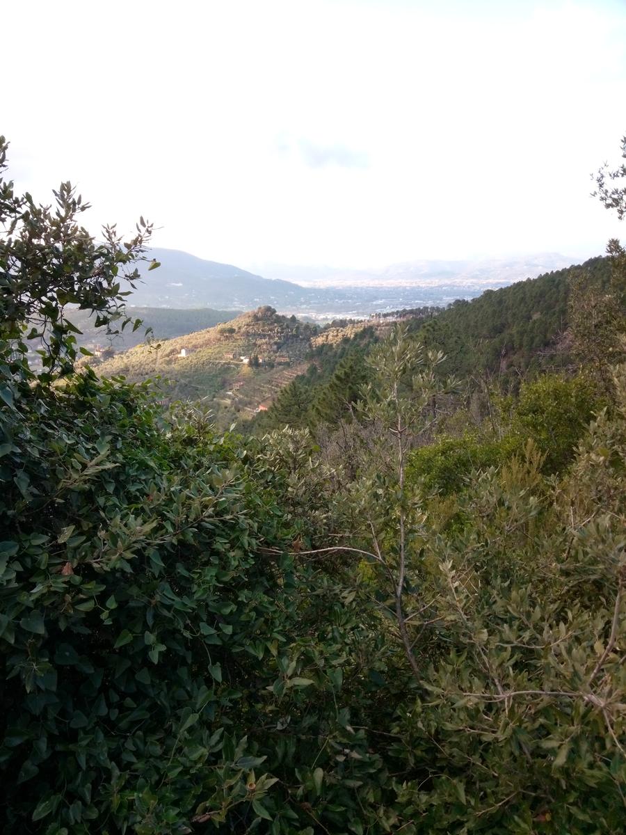 Dalle Parole d'oro al Monte Zano