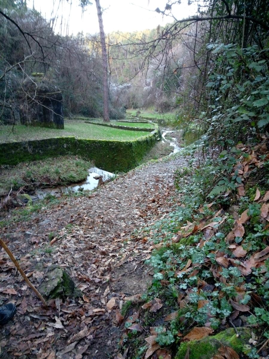 Dalle Parole d'oro al Monte Zano - foto 12