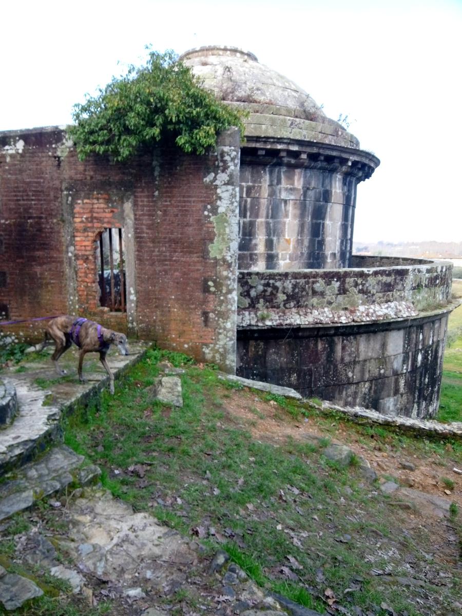 Dalle Parole d'oro al Monte Zano - foto 13