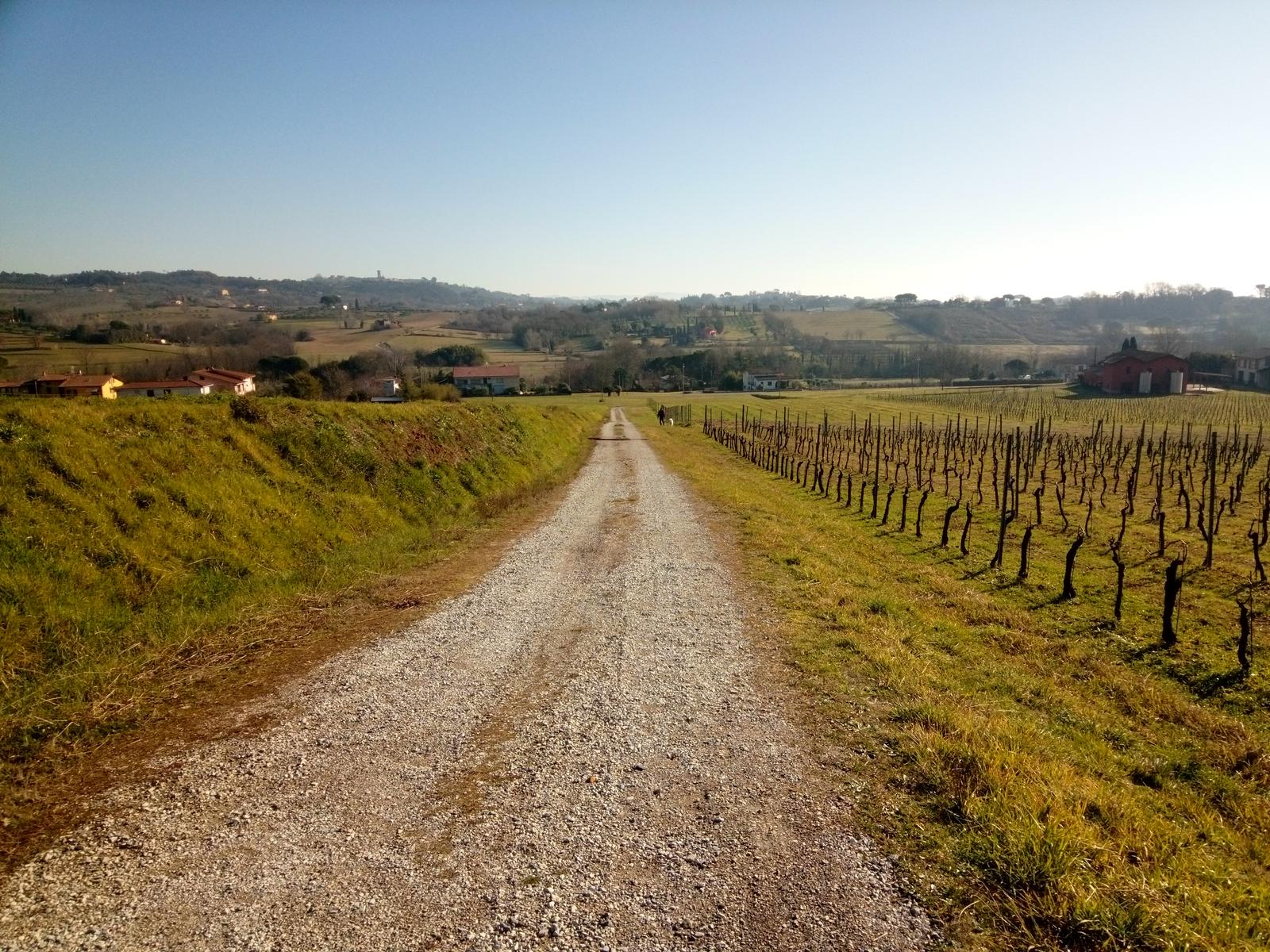 Porcari - Quercia delle Streghe - Montecarlo - foto 3