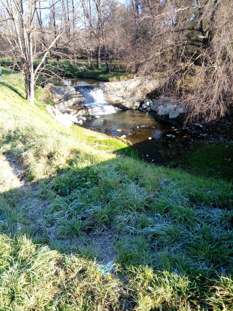 Porcari - Quercia delle Streghe - Montecarlo - foto 4