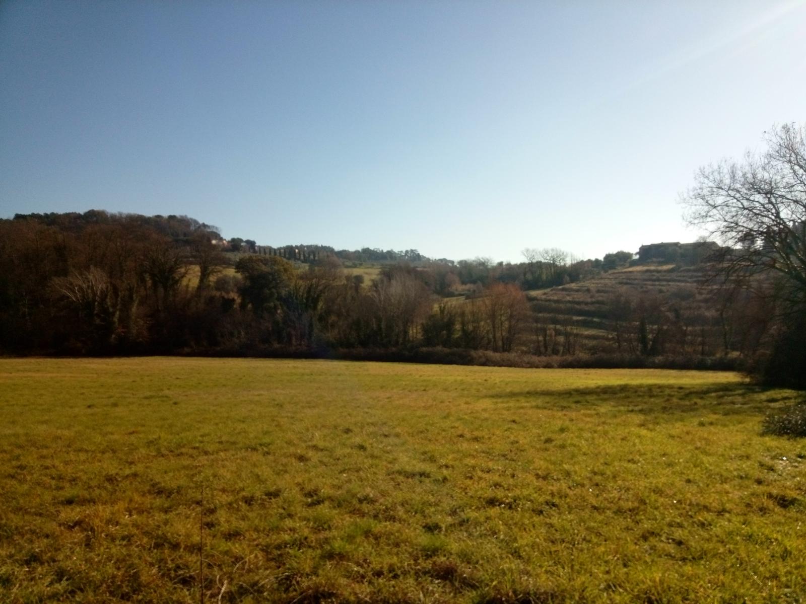 Porcari - Quercia delle Streghe - Montecarlo - foto 5