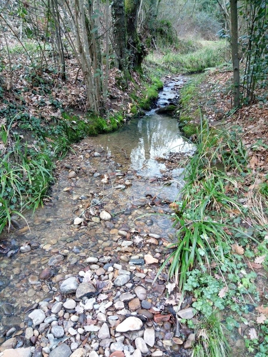 Porcari - Quercia delle Streghe - Montecarlo - foto 13