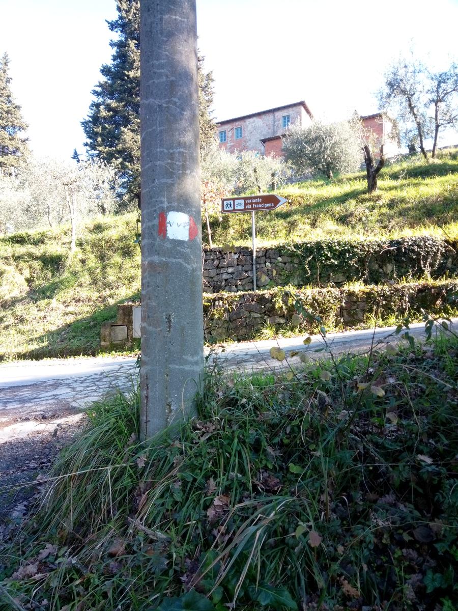 Porcari - Quercia delle Streghe - Montecarlo - foto 16