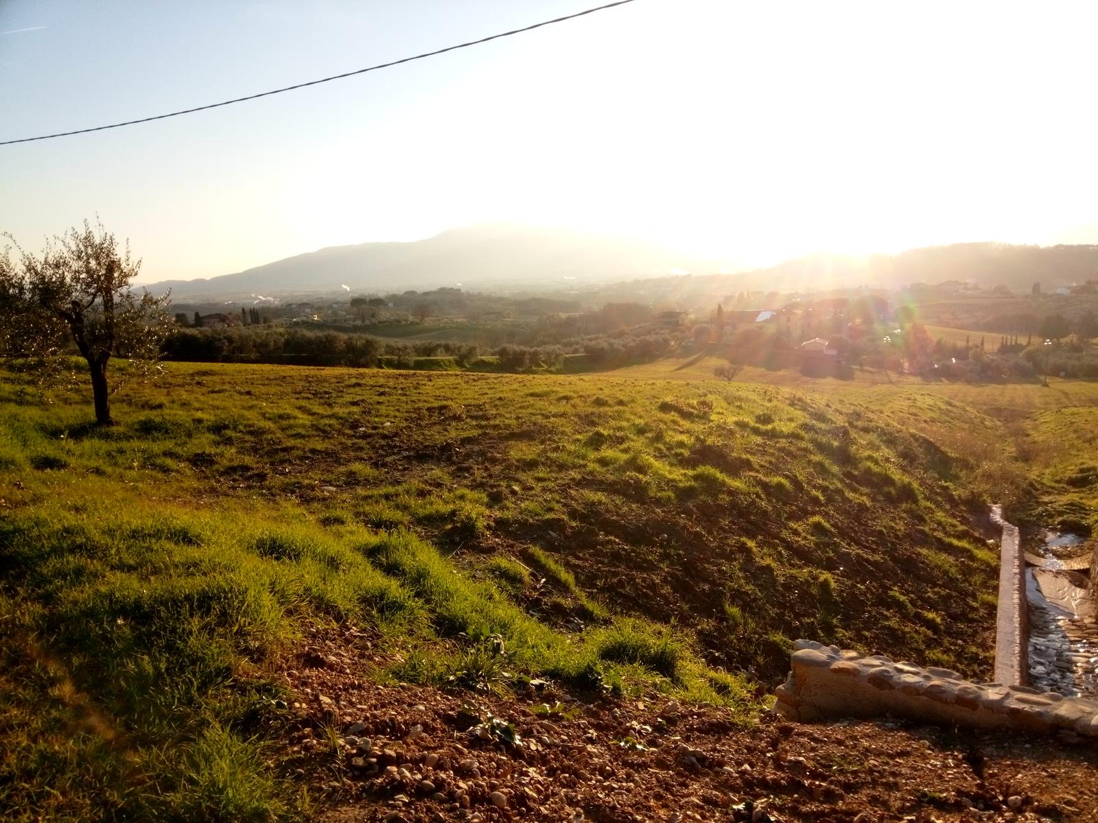 Porcari - Quercia delle Streghe - Montecarlo - foto 20