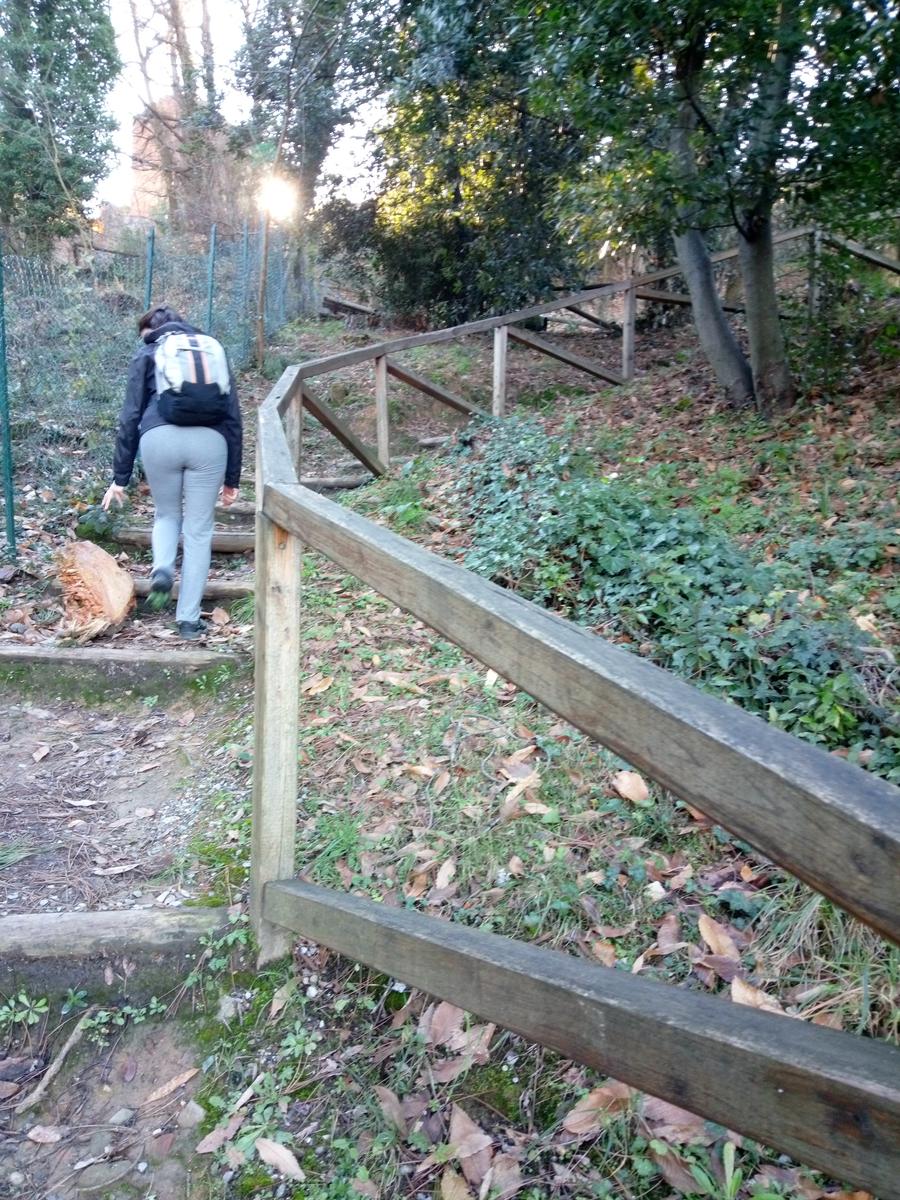 Porcari - Quercia delle Streghe - Montecarlo - foto 23