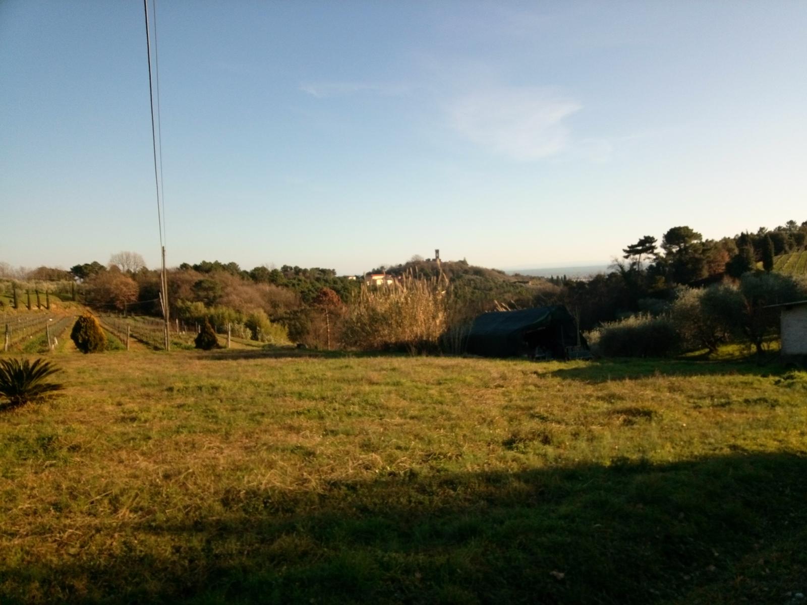 Porcari - Quercia delle Streghe - Montecarlo - foto 24