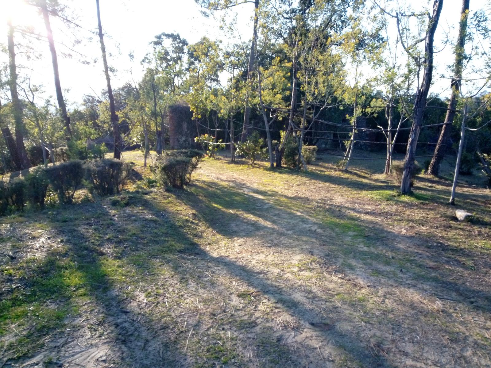 Porcari - Quercia delle Streghe - Montecarlo - foto 25