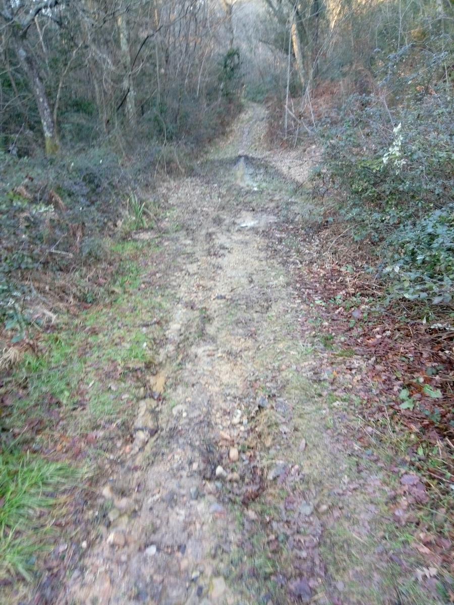 Porcari - Quercia delle Streghe - Montecarlo - foto 26
