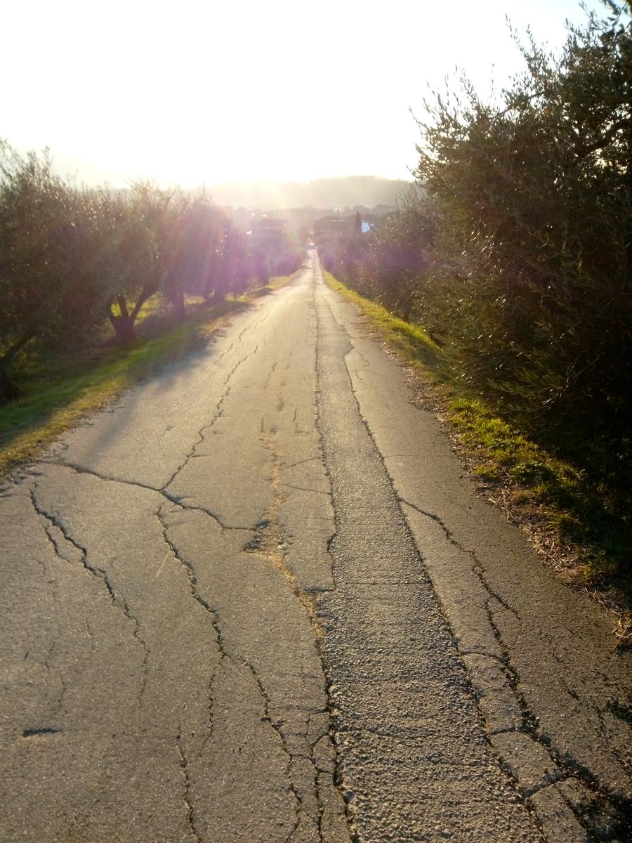 Porcari - Quercia delle Streghe - Montecarlo - foto 27