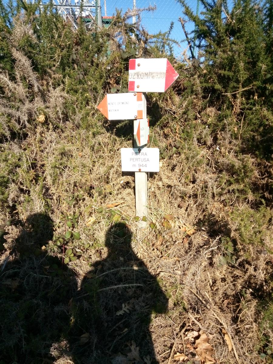 Pizzorne - Monte Scarpiglione - foto 4