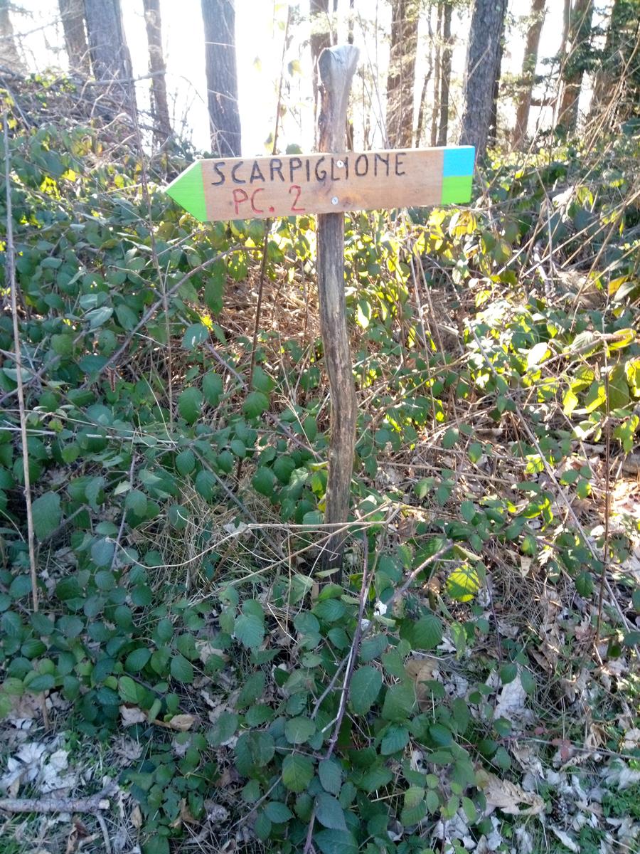 Pizzorne - Monte Scarpiglione - foto 5