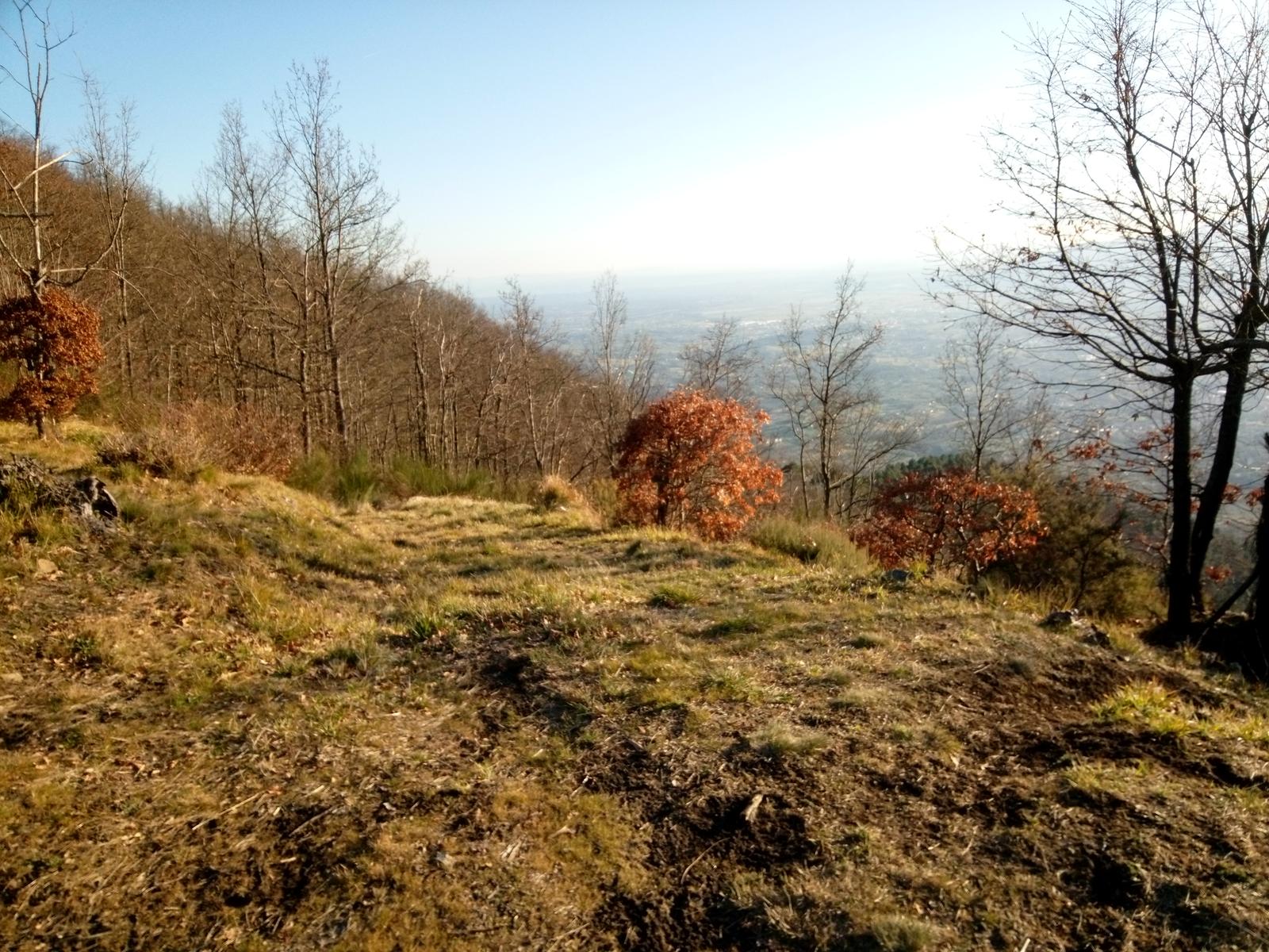 Pizzorne - Monte Scarpiglione - foto 7