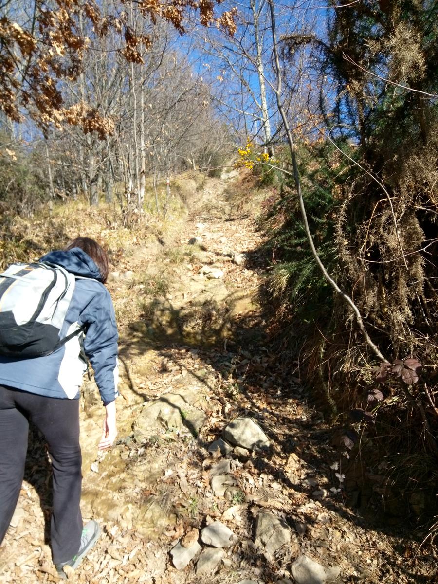 Pizzorne - Monte Scarpiglione - foto 13