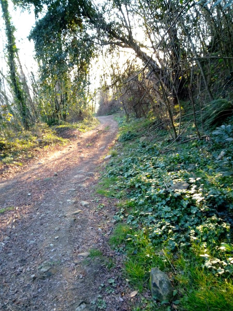 Pizzorne - Monte Scarpiglione - foto 18