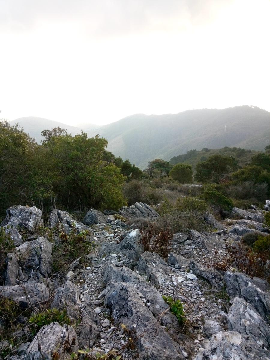 Passo di Dante - Eremo della Spelonca - Monte Penna - foto 5