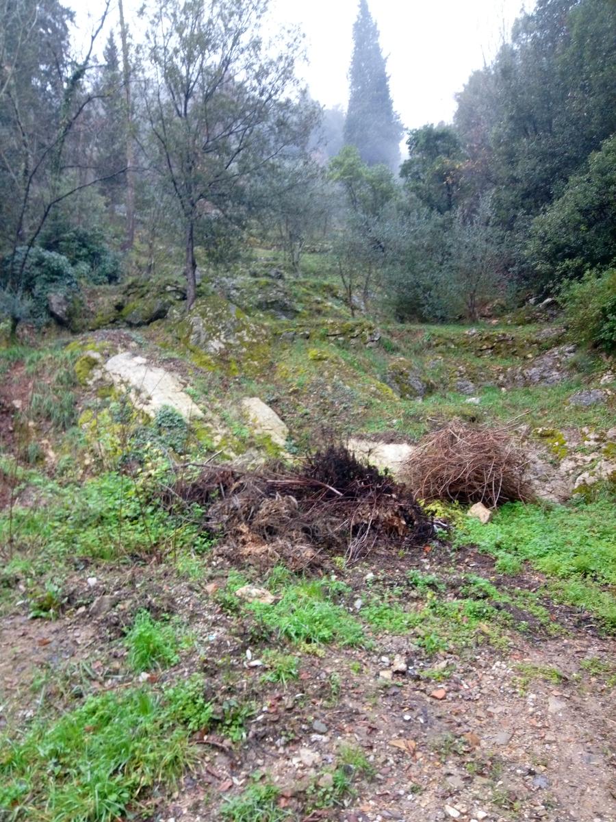 Passo di Dante - Eremo della Spelonca - Monte Penna - foto 16
