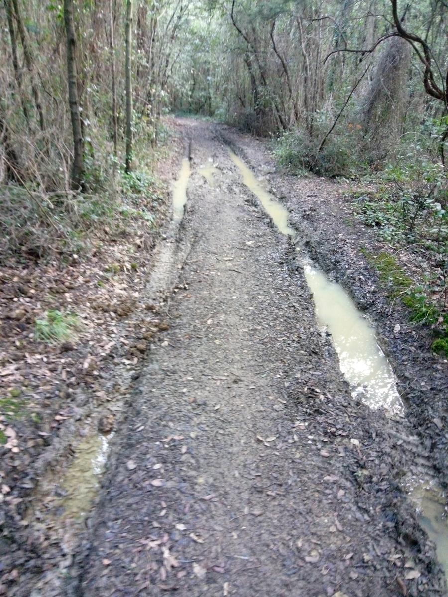 Grotta dei banditi - Curva Nuvolari - Val di chioma - Evangelisti - foto 5