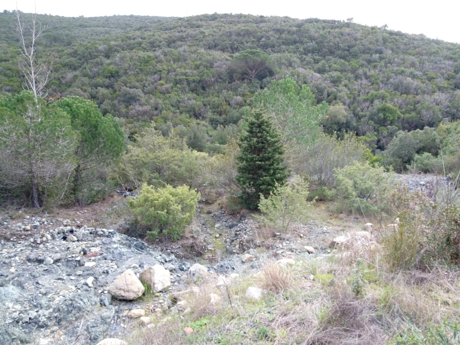 Grotta dei banditi - Curva Nuvolari - Val di chioma - Evangelisti - foto 6
