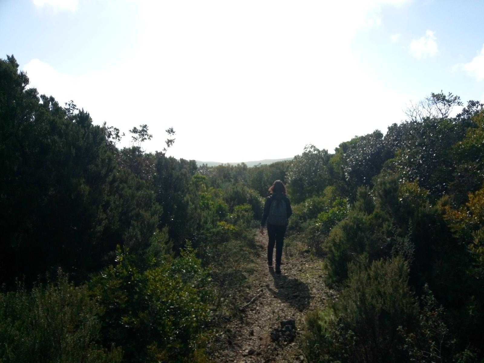 Grotta dei banditi - Curva Nuvolari - Val di chioma - Evangelisti - foto 8