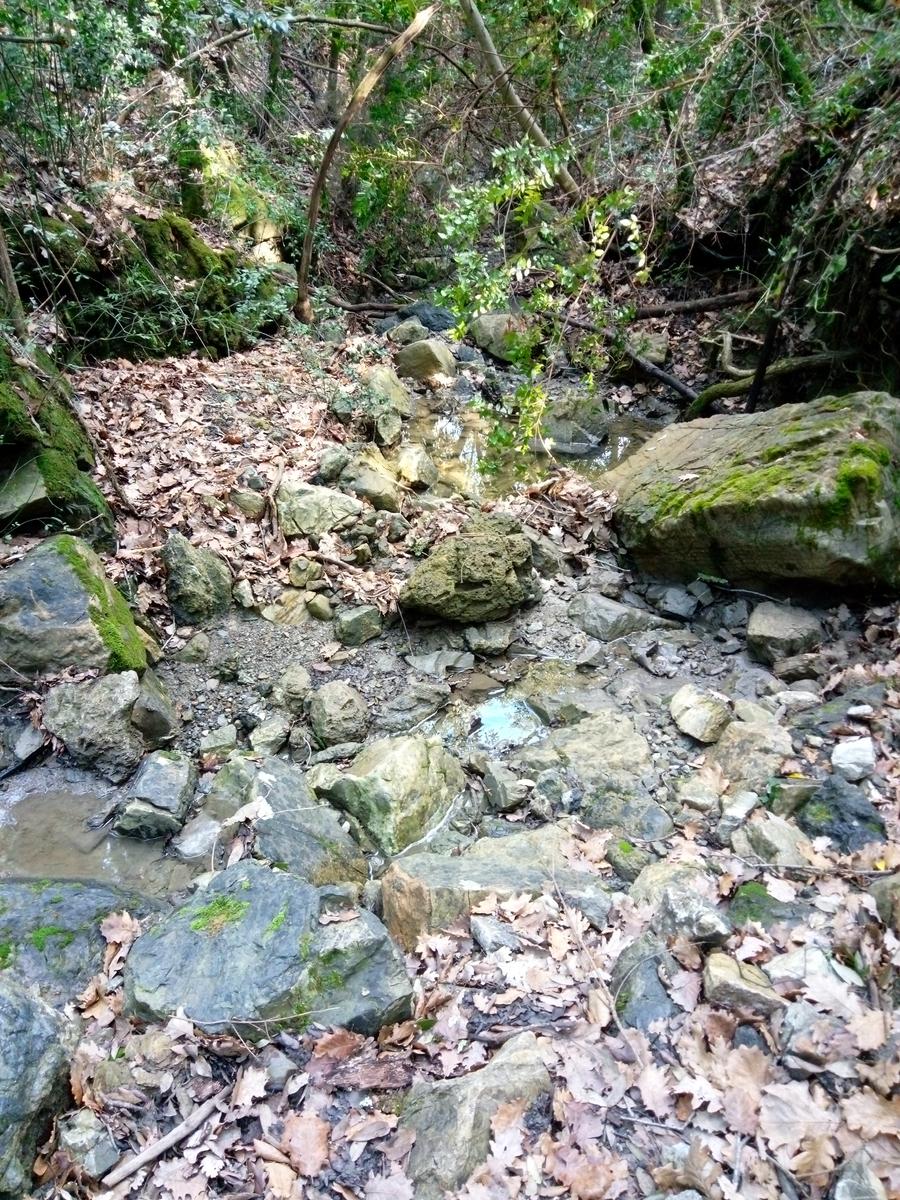Grotta dei banditi - Curva Nuvolari - Val di chioma - Evangelisti - foto 10