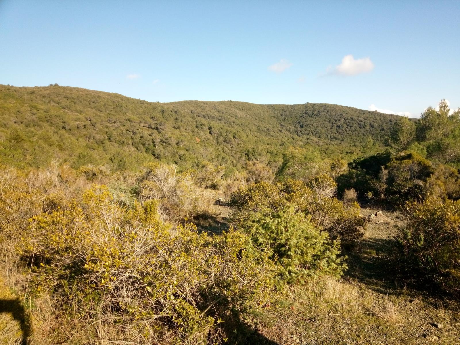 Grotta dei banditi - Curva Nuvolari - Val di chioma - Evangelisti - foto 11