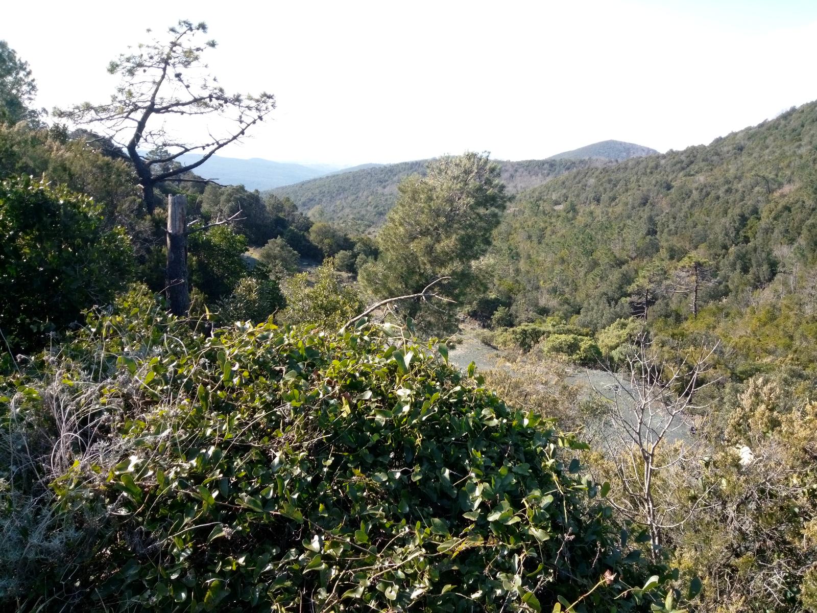 Valle Benedetta - Monte pan di zucchero - Monte maggiore - acquedotto di Colognole - foto 2