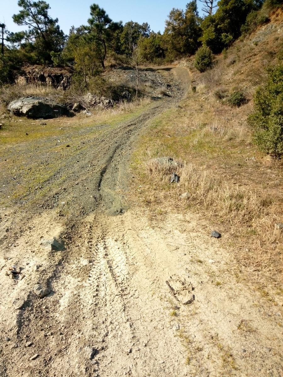Valle Benedetta - Monte pan di zucchero - Monte maggiore - acquedotto di Colognole - foto 7